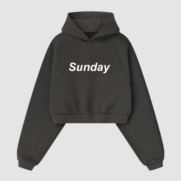 Heavyweight Applique Hoodie Dark Taupe